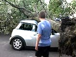 Над Германией пронесся мощный ураган. Повалены деревья, оборваны линии электропередачи